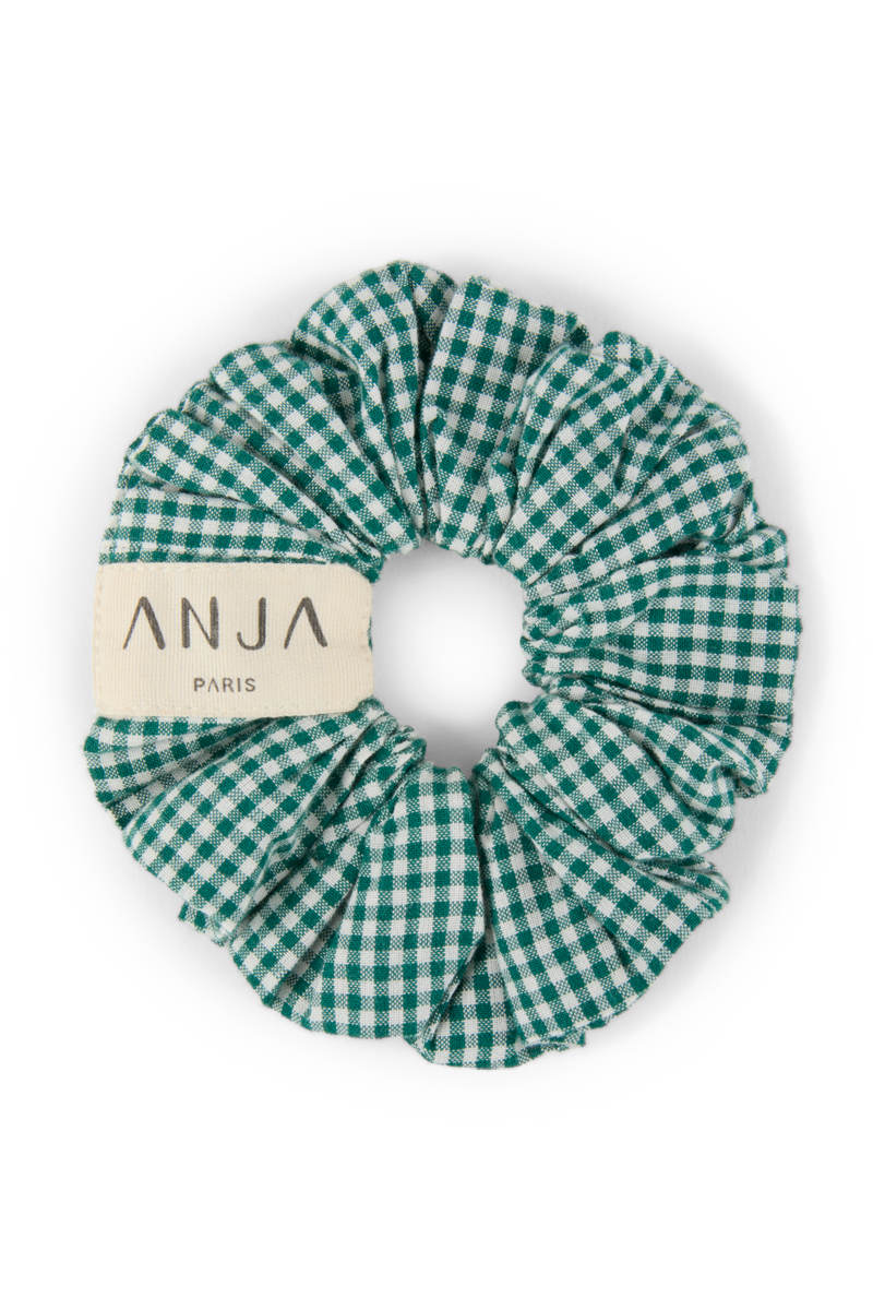 anja accessories le chouchou vichy green transparent background