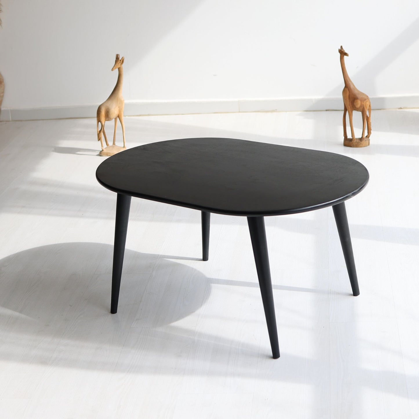Modern Oval Coffee Table